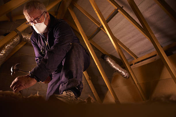 Best Insulation Maintenance and Repair in Boerne, TX